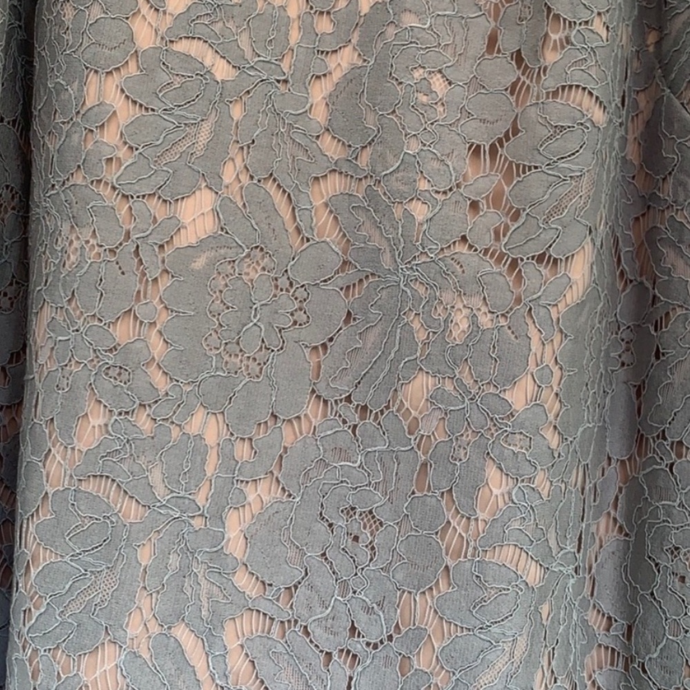 Eliza J. Shift Dress w. Jeweled Neckline & Lace Overlay - Picture 2 of 2